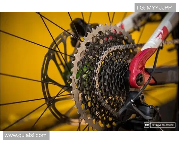 职业球队必一科技装备揭秘助力训练提升竞技水平的黑科技应用 职业球队必一科技装备揭秘助力训练提升竞技水平的黑科技应用